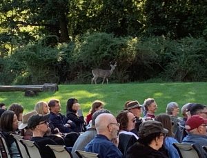 Phoenix Deer in background